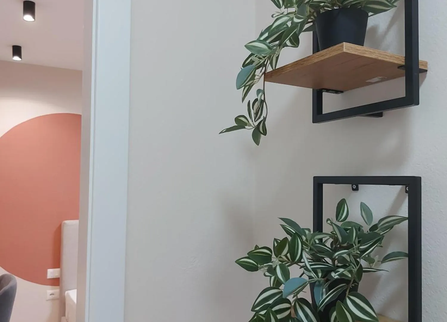 Center Cozy Nest Hotel Tirana Albania