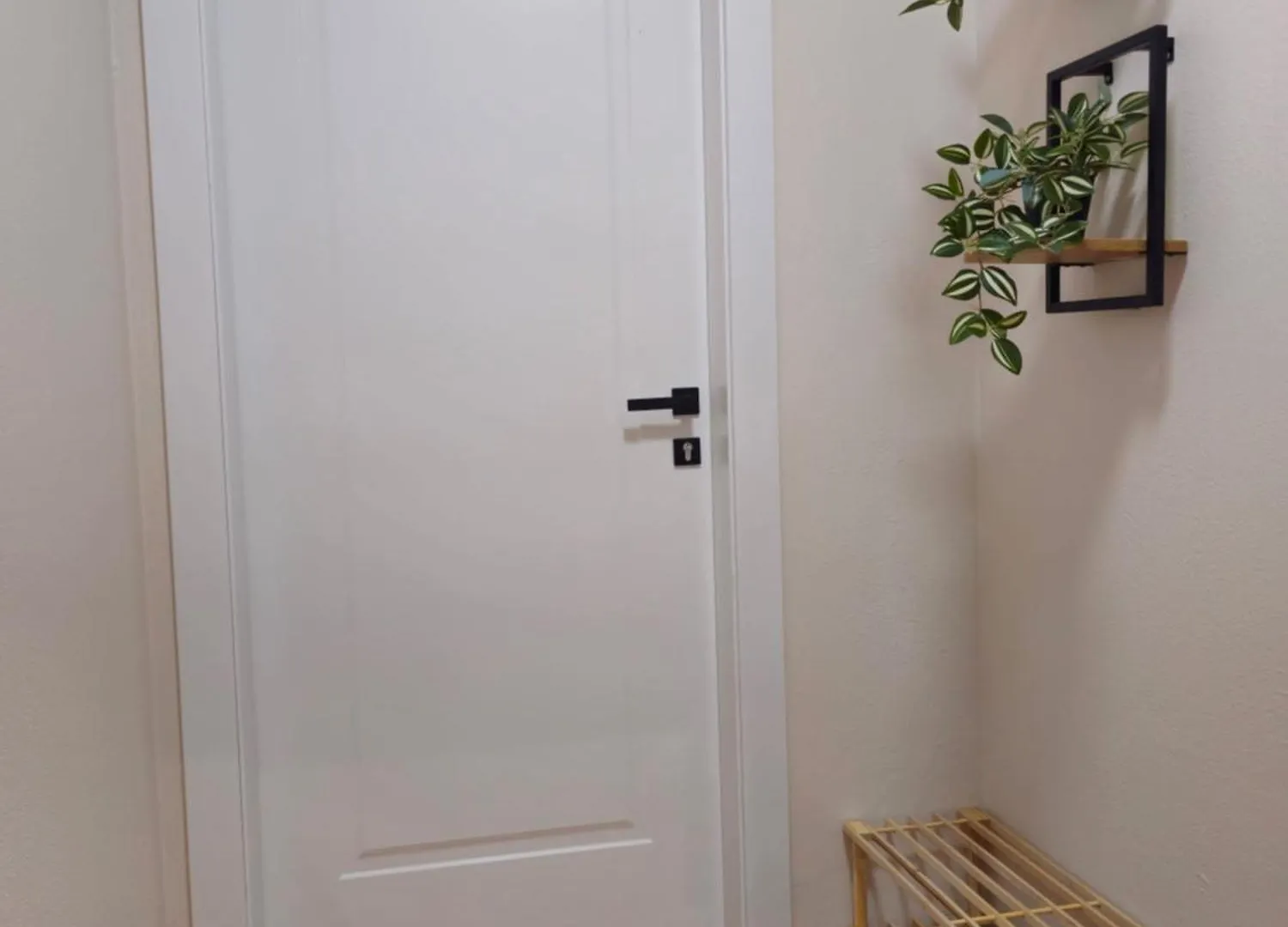 Guest house Center Cozy Nest Hotel Tirana Albania